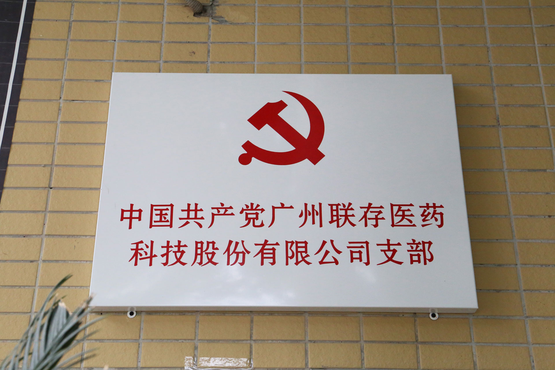 党建引领凝聚力量，旗帜高举争先锋 | 广州2025世俱杯官网科技股份有限公司党支部正式成立